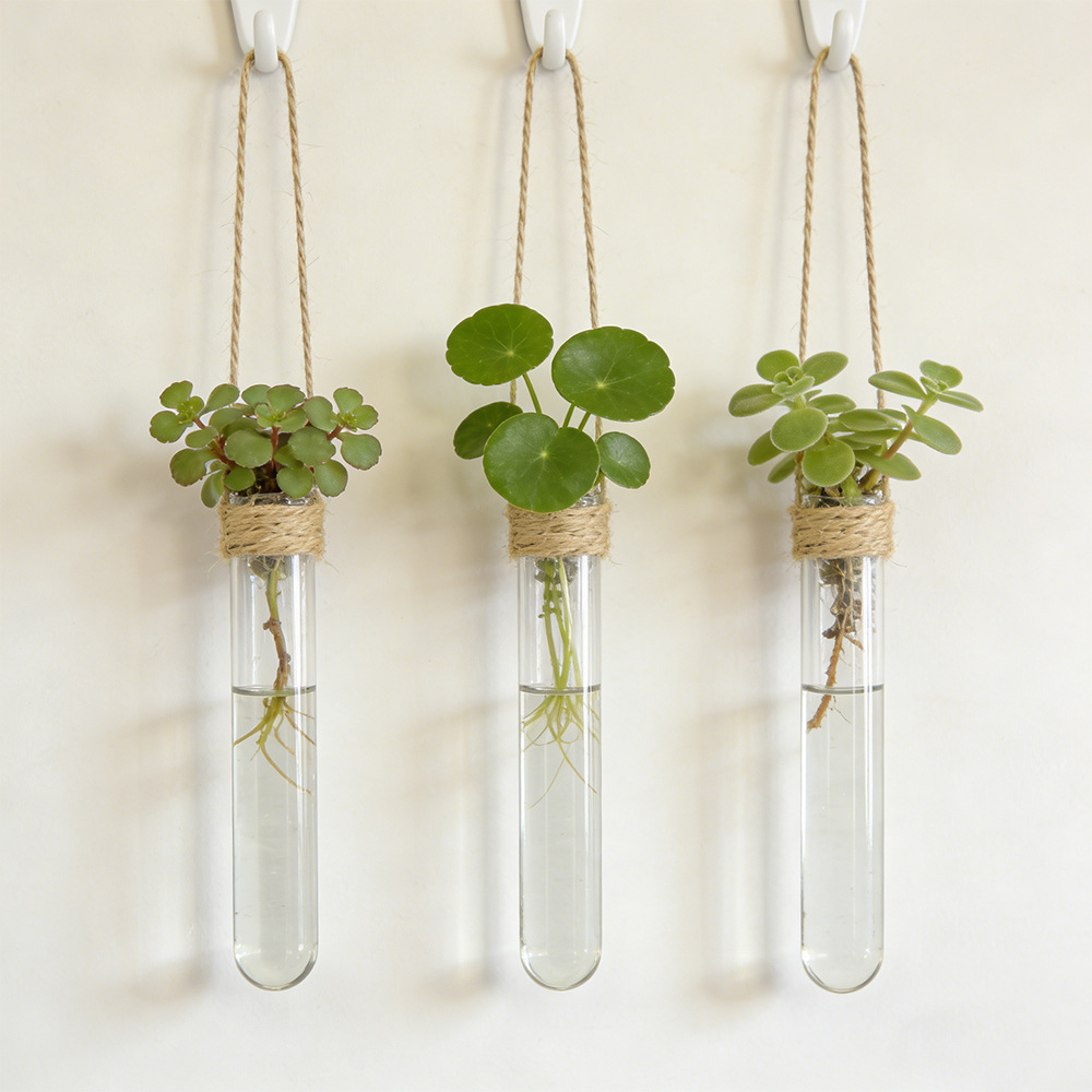 Propagation Station Vase - Hidroponik Çiçek Vazosu Duvara Monte Test