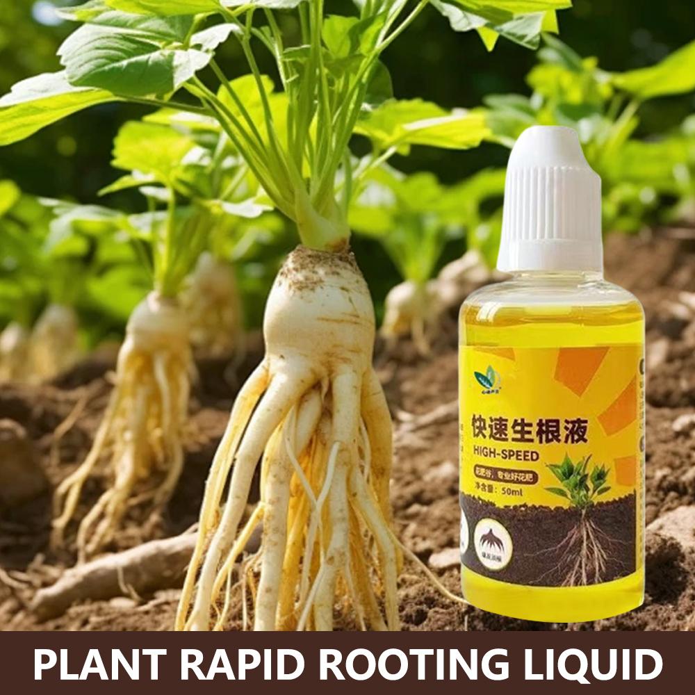 Root Stimulator Liquid - Yeşil Bitki Kök Stimülatörü Sıvı Kesme