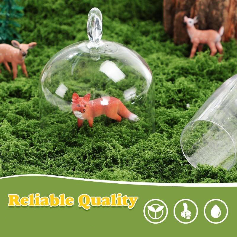 20' X 20' Bitkiler İçin Yapay  - Sphagnum Moss Dry incelemesi ve fiyatı