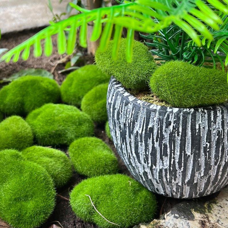 100/5 adet yapay yosun kaya sa - Sphagnum Moss Dry incelemesi ve fiyatı