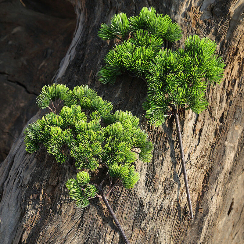 42 cm Yapay Bitki Çam Dalı Yeş - Sphagnum Moss Dry incelemesi ve fiyatı