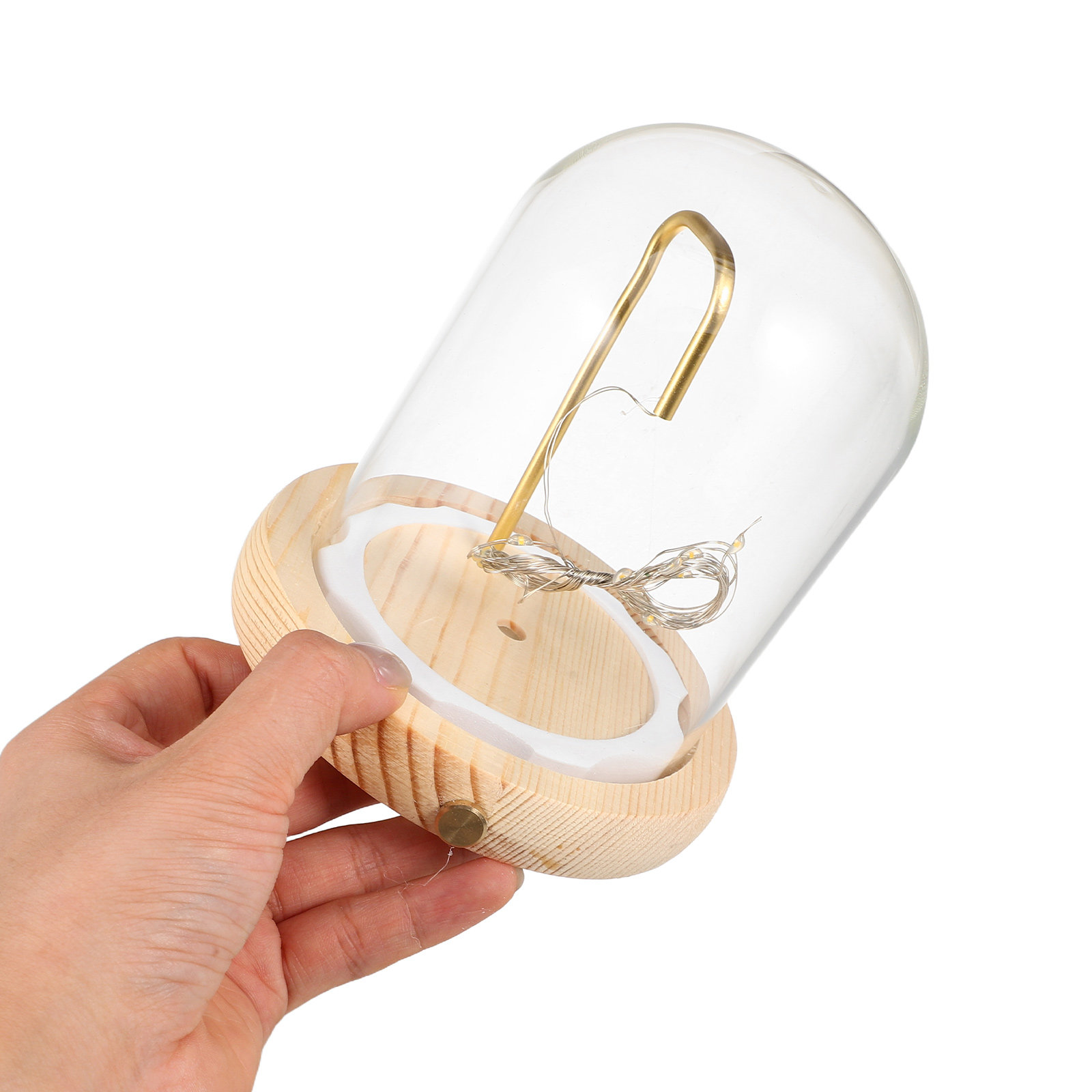 Ahşap Tabanlı Cam Kubbe Vitrin - Plastic Dome Clear incelemesi ve fiyatı