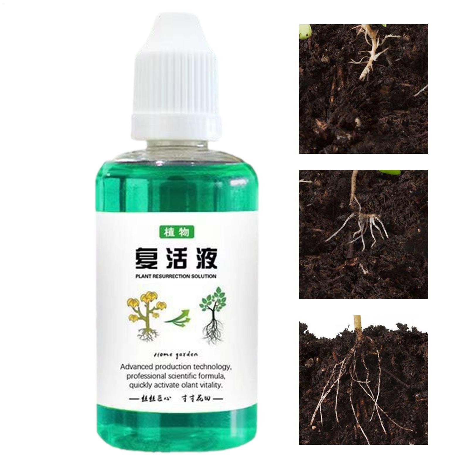 Bitkiler İçin Kök Stimülatörü  - Root Stimulator Liquid incelemesi ve fiyatı