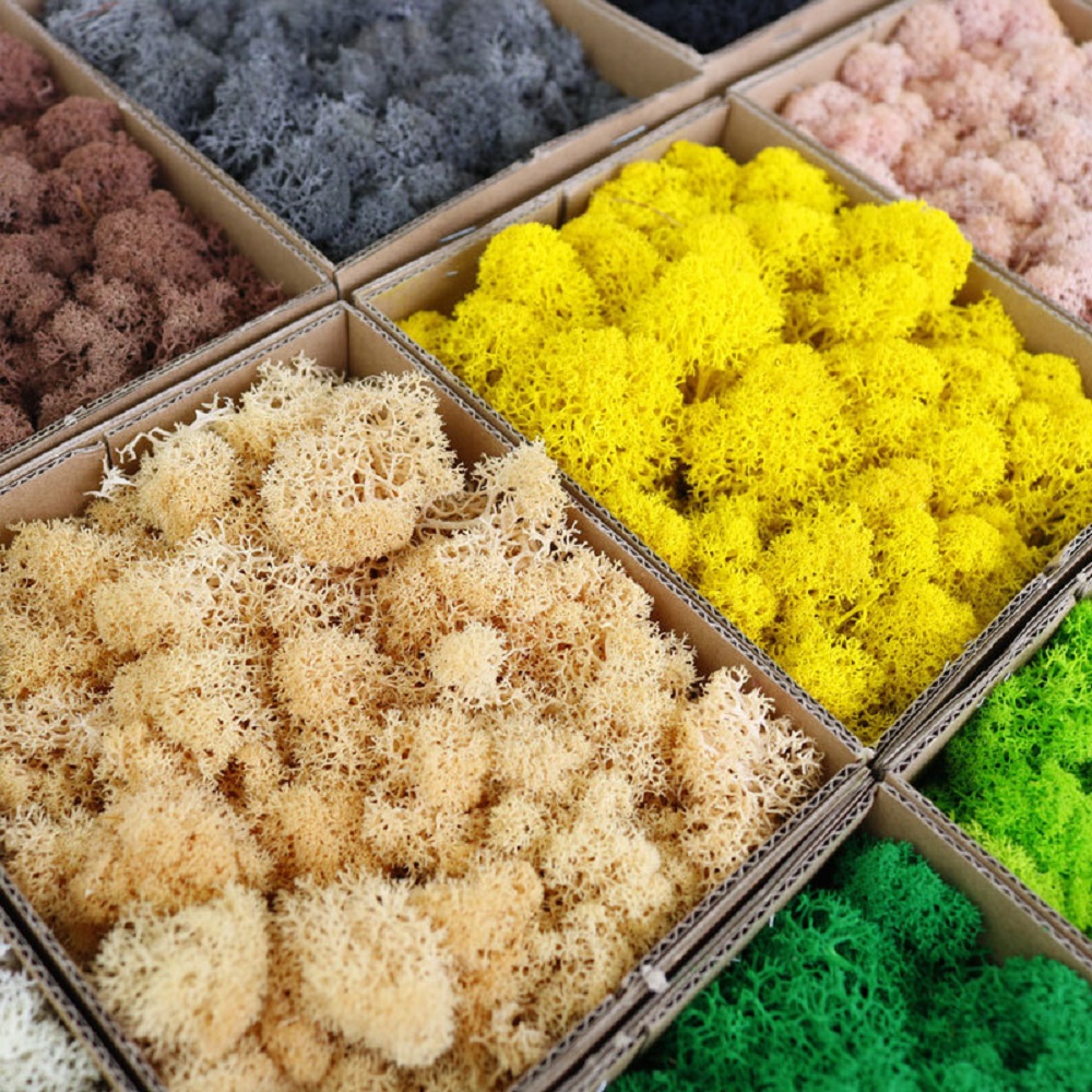 Yapay Yeşil Bitkiler Mini Peyz - Sphagnum Moss Dry incelemesi ve fiyatı