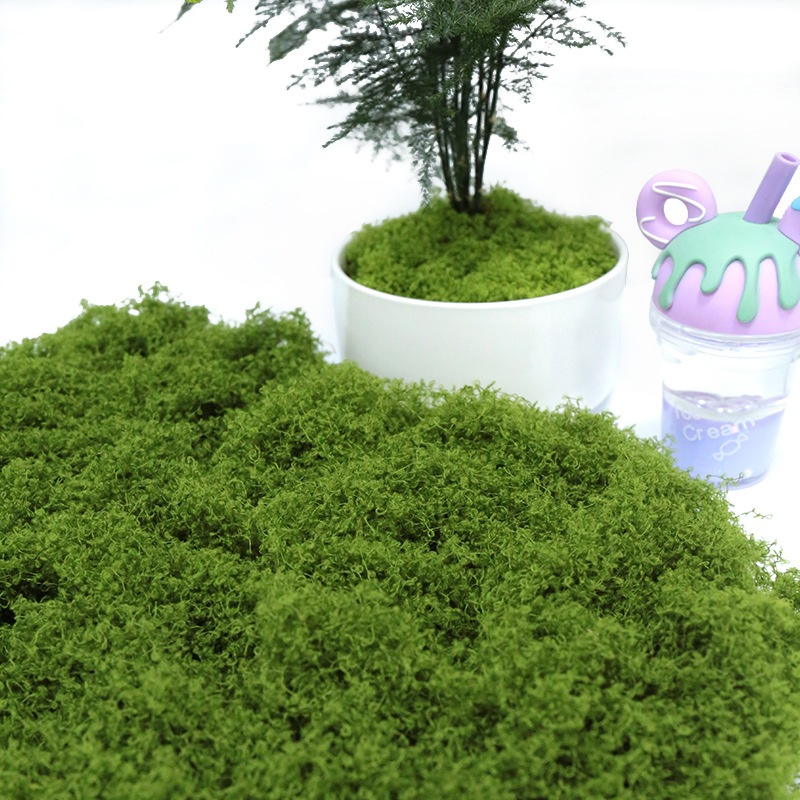 【P】50g Sahte Yosun DIY El Sana - Sphagnum Moss Dry incelemesi ve fiyatı